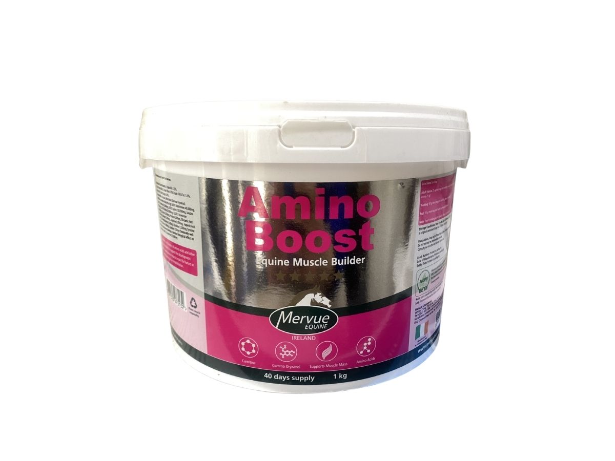 Mervue AMINO BOOST