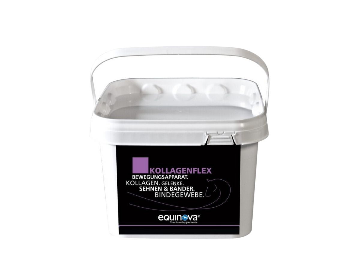 Equinova KOLLAGENFLEX eklem-tendon-kıkırdak