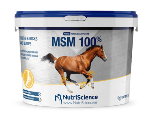 NutriScience MSM 100%