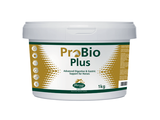 Mervue ProBio Plus