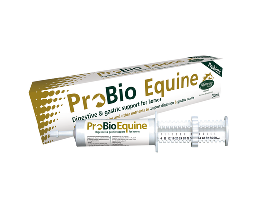 Mervue ProBio Equine pasta