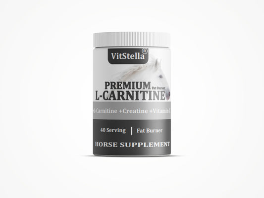 VitStella Premium L-Carnitine