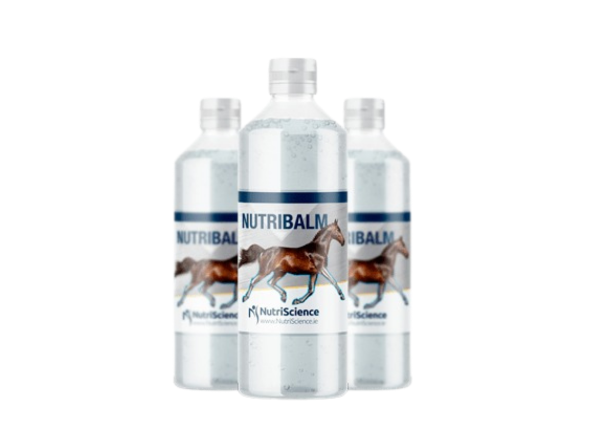 NUTRIBALM Soğutma Jeli 500 gr