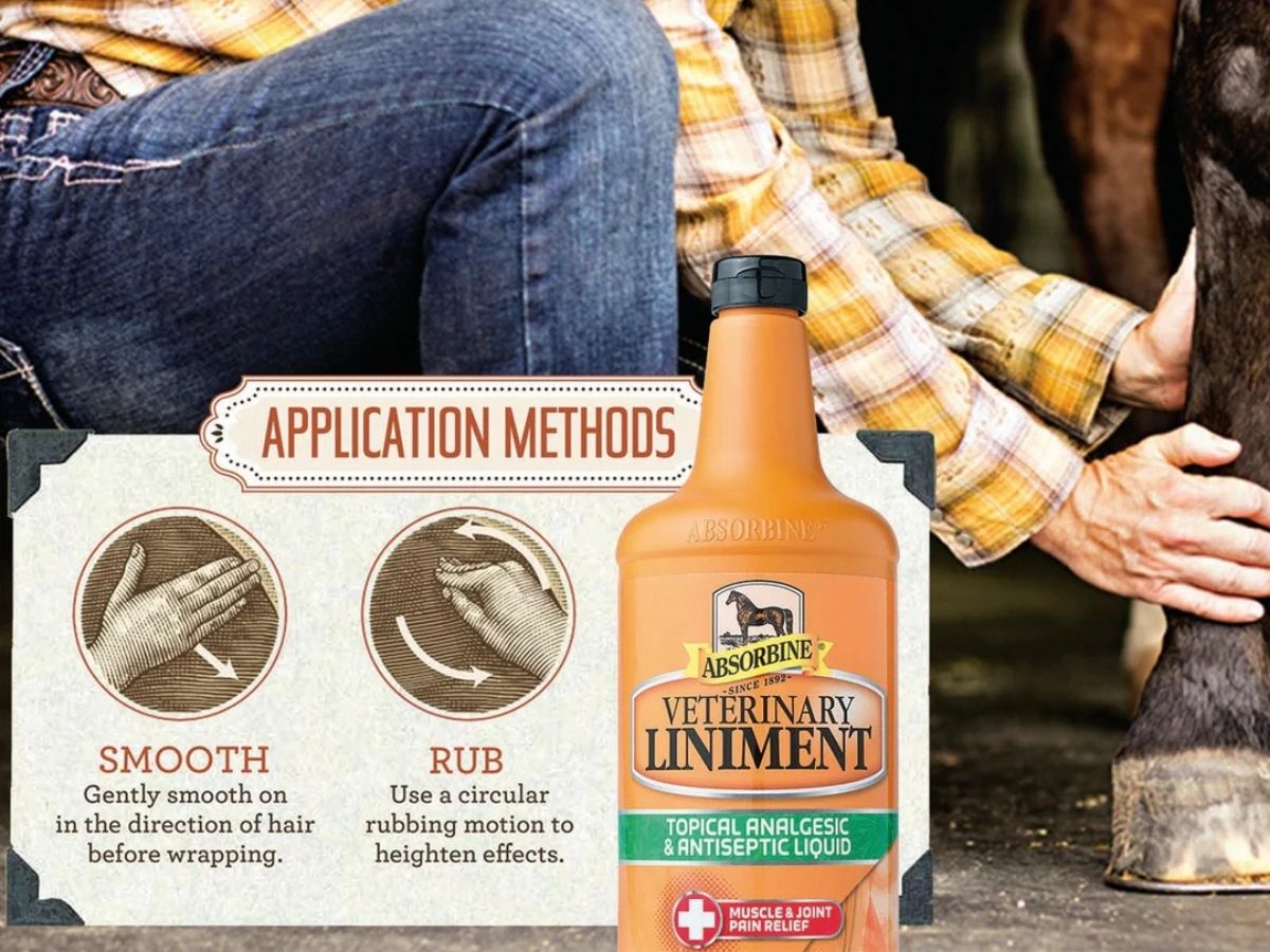 ABSORBINE
