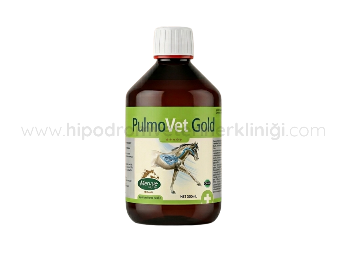 Mervue Equine PulmoVet Gold 500 ml